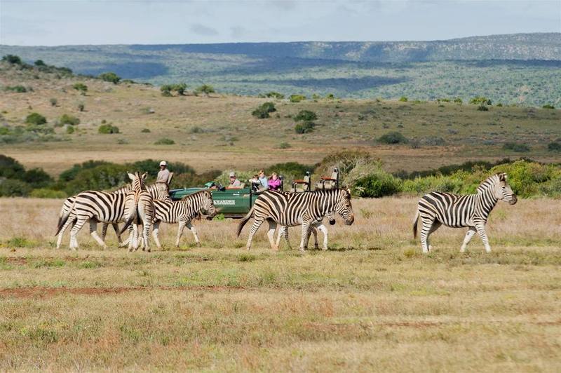 Kwandwe Private Game Reserve - Great Fish River Lodge Grahamstown Eksteriør billede