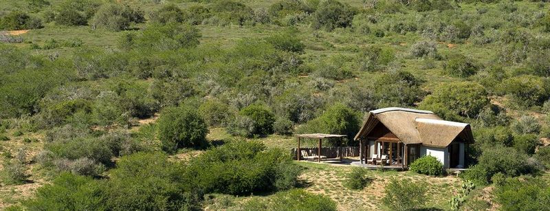 Kwandwe Private Game Reserve - Great Fish River Lodge Grahamstown Eksteriør billede