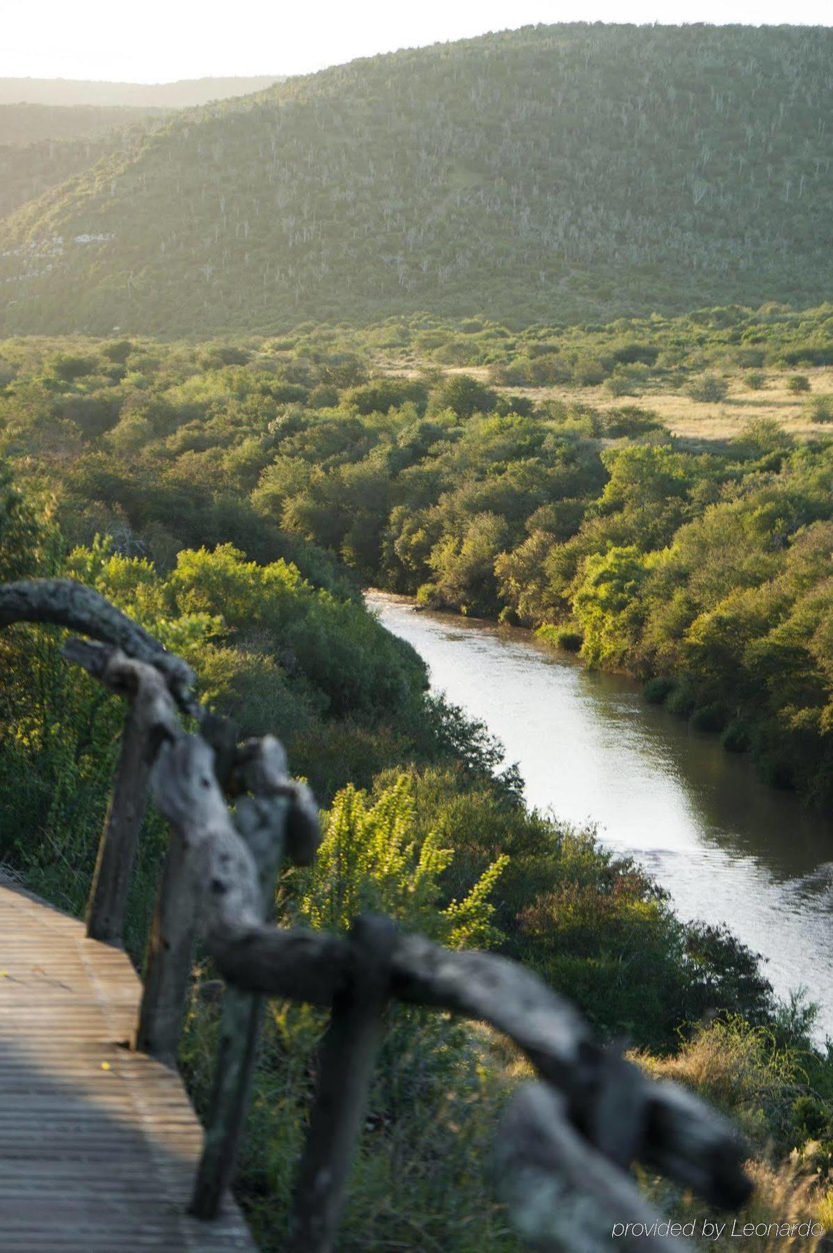 Kwandwe Private Game Reserve - Great Fish River Lodge Grahamstown Eksteriør billede