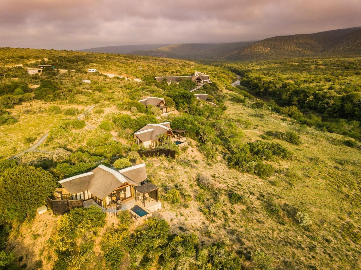 Kwandwe Private Game Reserve - Great Fish River Lodge Grahamstown Eksteriør billede
